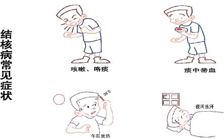 结核病3